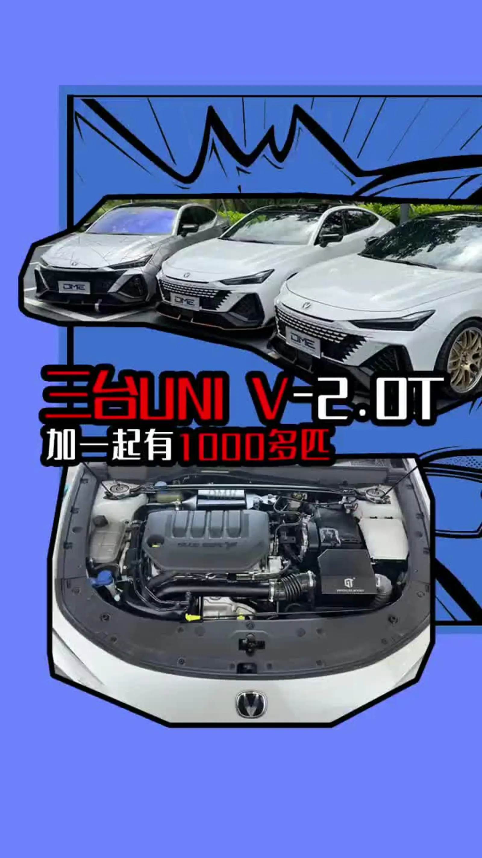 专家称UNI将在年底冲破3.39美元，引发引发关注